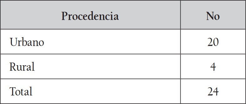 Características sociodemográficas:
Procedencia