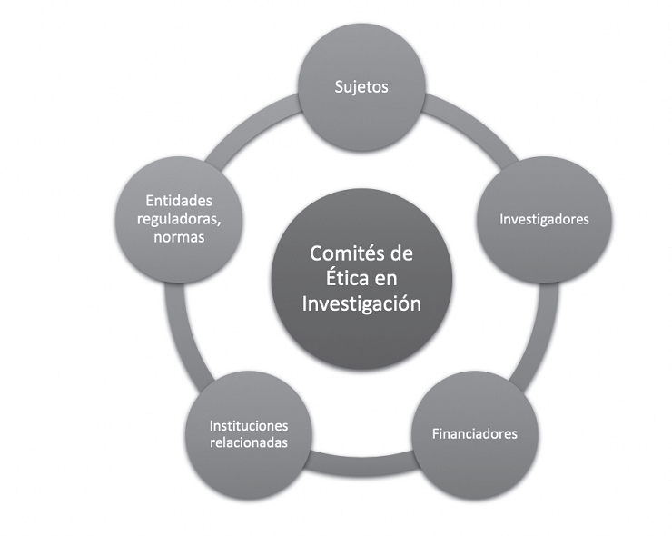 Sistema de relaciones de
los Comités de Ética en Investigación