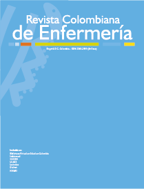 					Ver Vol. 18 Núm. 2 (2019): Revista Colombiana de Enfermería
				