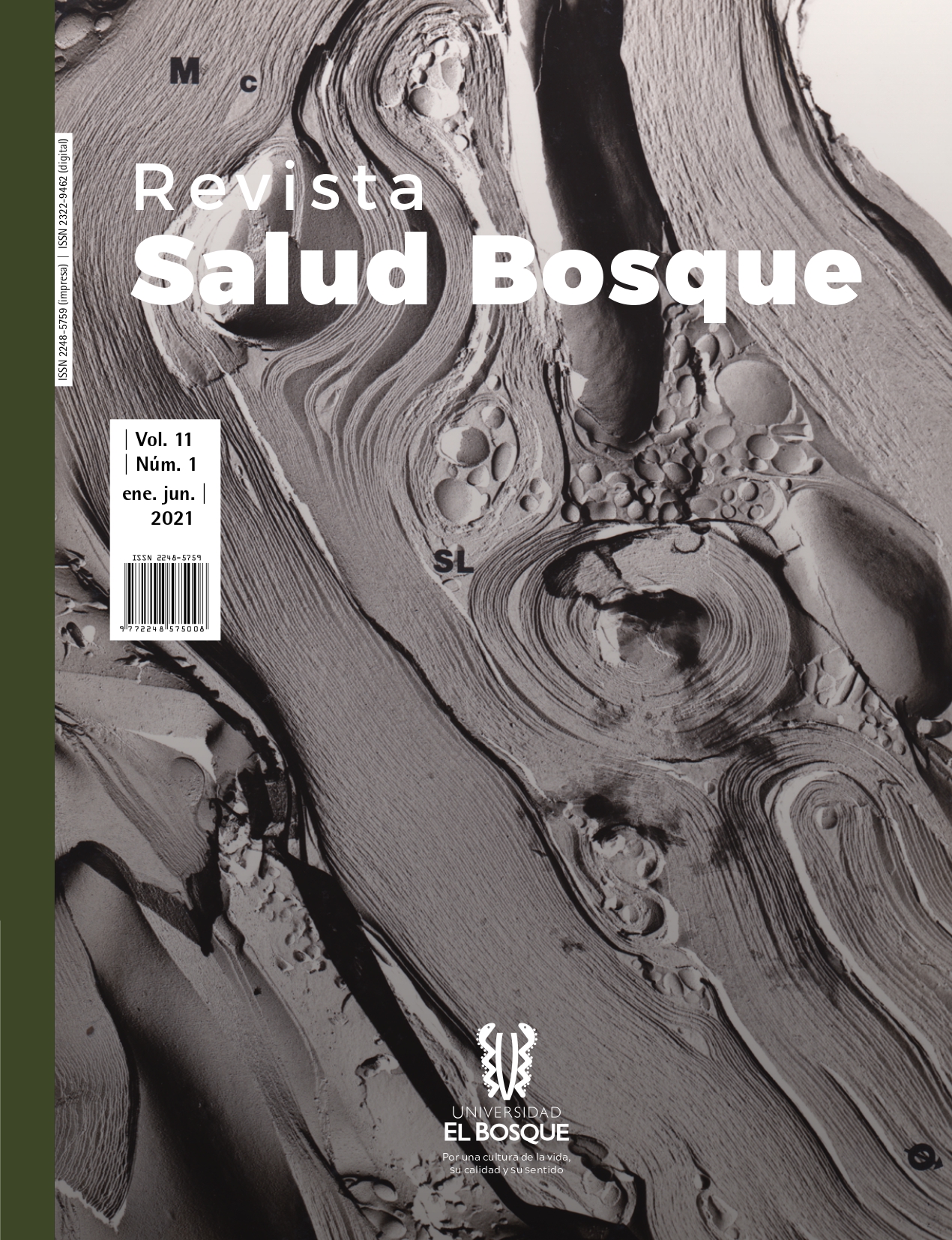 					View Vol. 11 No. 1 (2021): Revista Salud Bosque
				