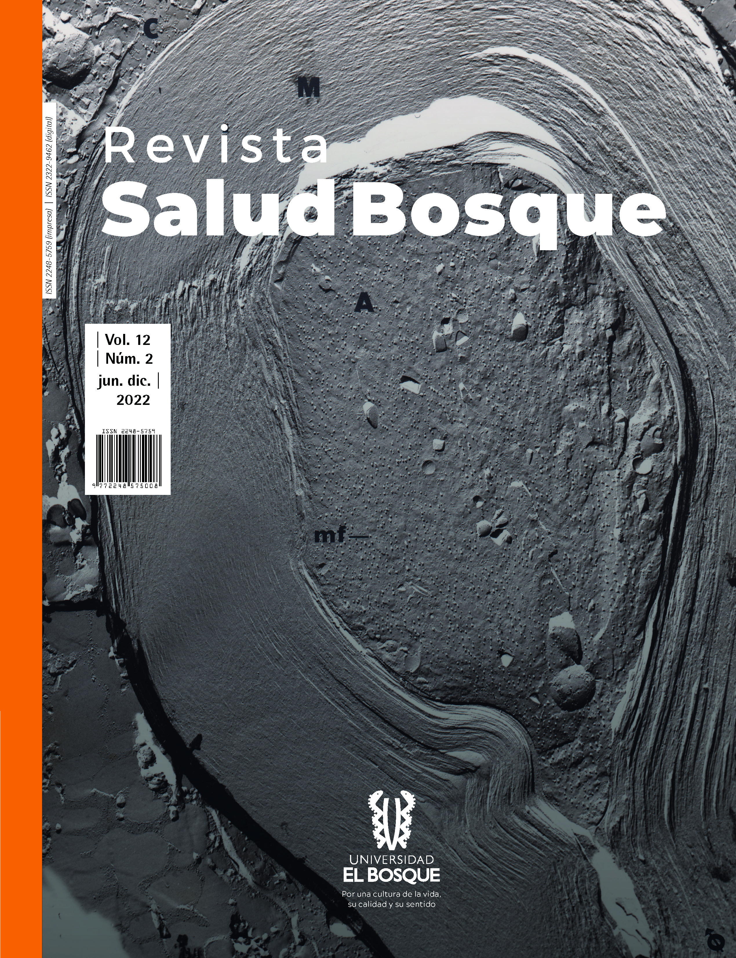					Ver Vol. 12 Núm. 2 (2022): Revista Salud Bosque
				